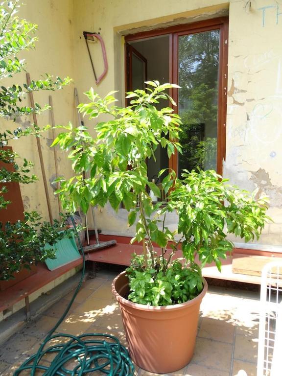 Garden Apartment On Art Nouveau Street In Central Prag Eksteriør billede
